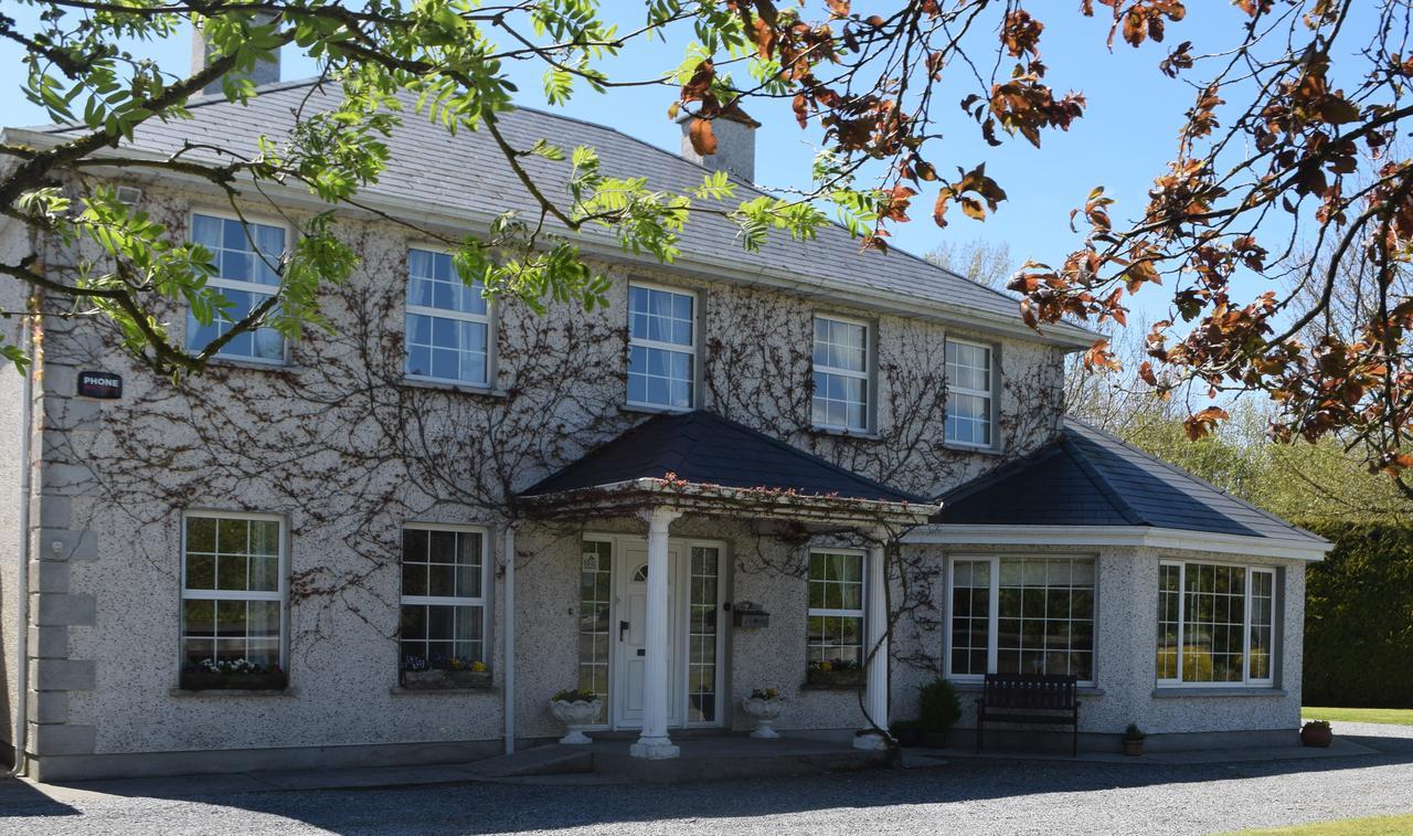 Bed and Breakfast Orchard Grove Bagenalstown Exterior foto